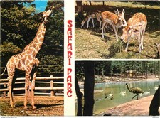 Carte Postale - Animaux -