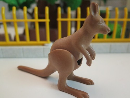 Kangourou animal 3242 3893 - kangourou,