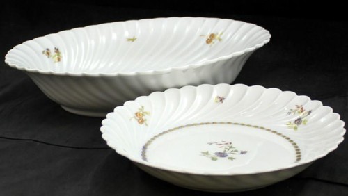 Haviland aster group - aster, of