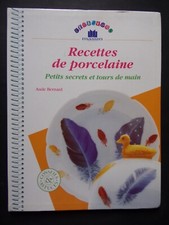 § livre recettes de porcelaine - peinture - Aude Bernard