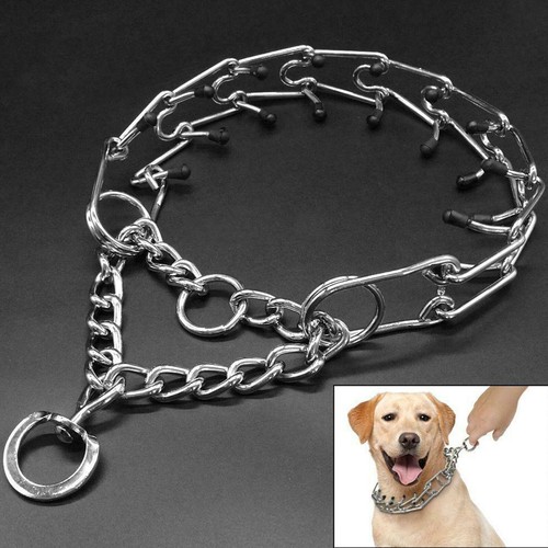 Chiens dressage collier - dressage,