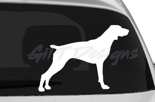 German shorthaired pointer 1 - shorthaired, #1