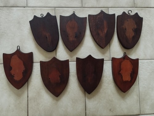Ecussons bois pour trophee - 8,