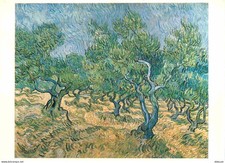 Art - Peinture - Vincent Van Gogh - Olljfgaard - Olive-grove 1889 - Olieverf op