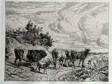 Amédée Servin Gravure Eau