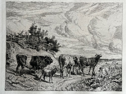 Amédée servin gravure - servin,