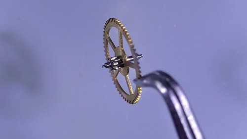 Montre femga dama - dama, 520-tcd