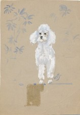 Paul Lucien DESSAU aquarelle gouache chien caniche signé