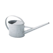 Arrosoir Zinc 1,5 Litre Maison de Campagne Style Plantes D'Intérieur