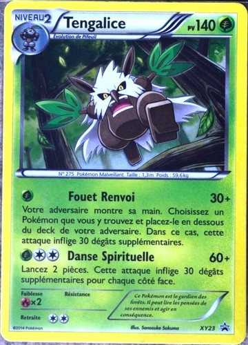 Carte pokémon xy23 - carte,