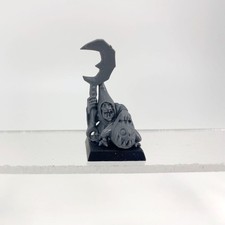 x1 Grand chef gobelin bataille au col du crâne Plastique Warhammer FB | P-00HZW