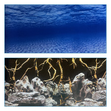 poster fond aquarium