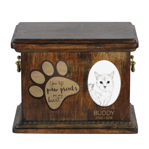 Munchkin chat urne bois - chat,