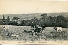 CARTE POSTALE / CALVADOS /