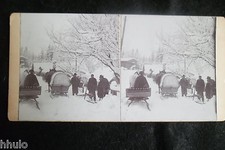 STB901 Chevaux tirant traineau