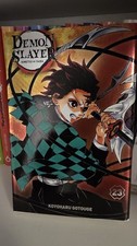 Manga VF - DEMON SLAYER T. 23