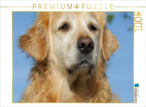 Calvendo puzzle golden - puzzle,