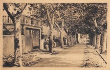 CPA 11 RENNES LES BAINS / AVENUE DE BUGARACH