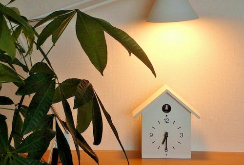 Muji cuckoo clock large - cuckoo,