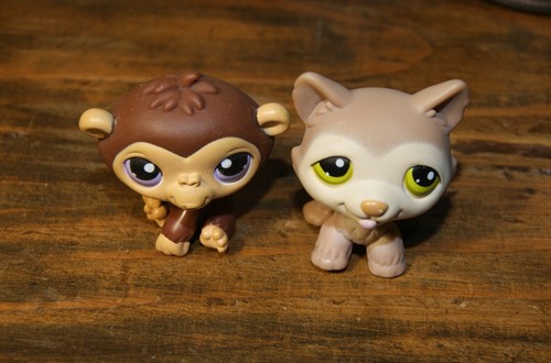 Petshop duo chimpanzé 359 - petshop,