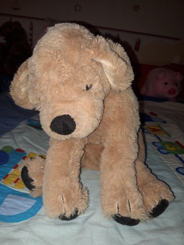 Peluche doudou chien - doudou,