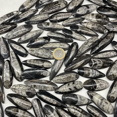 Lot gros cabochon - gros,