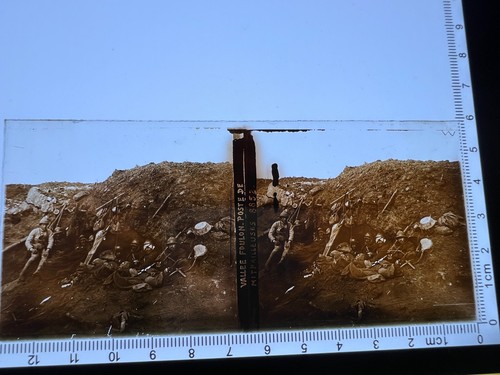 Plaque verre stereoscopique - de,