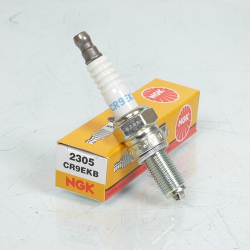 Bougie allumage ngk - d'allumage, pour