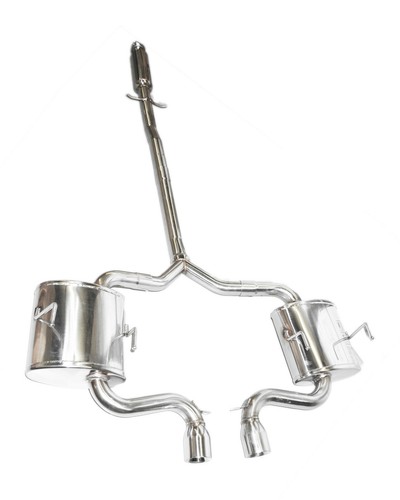 Dual tip muffler catback - tip,