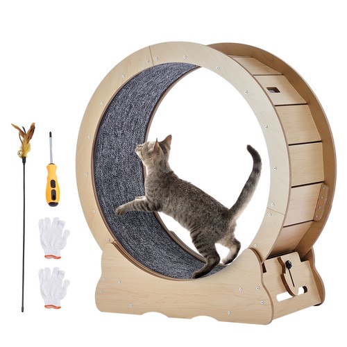 Roue exercice chat grande - chat,
