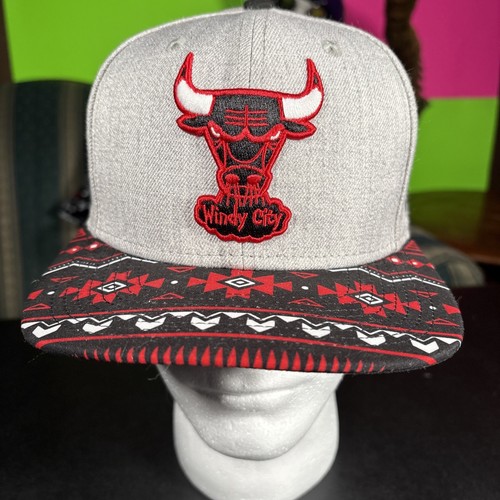 Windy city bulls - windy,