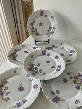 6 assiettes en porcelaine de