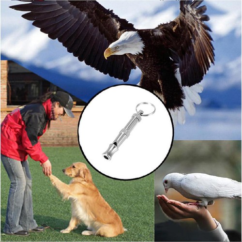Sifflet ultrason dressage - sifflet,