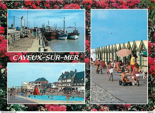 Carte postale cayeux - -,