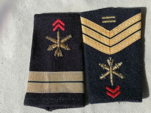 04645 fourreaux artillerie - ,