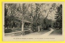 cpa FRANCE 75 PARIS Bois de Boulogne en Automne Le PRÉ CATELAN Le SAULE PLEUREUR