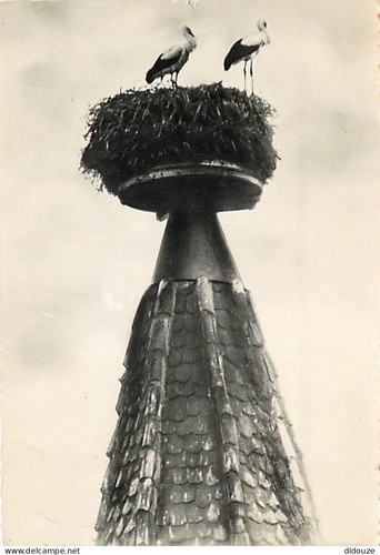 Carte postale - -,