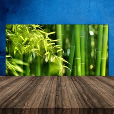 Crédence de cuisine en verre Panneau 120x60 Floral Bambou Feuilles