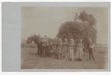 3/568 AK PROFESSION PAYSAN