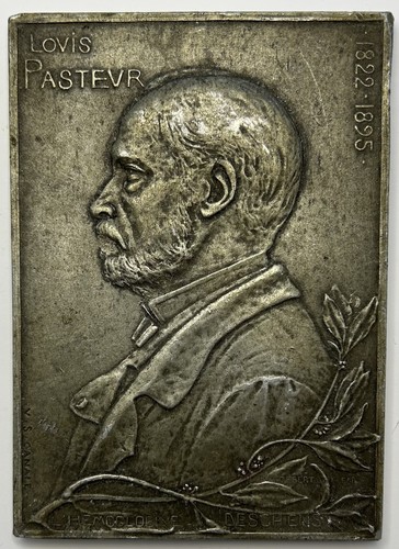 France médaille plaque - -,