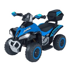 Mini Quad Électrique Enfants