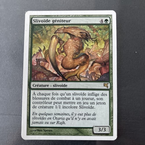 Carte magic the gathering - the,