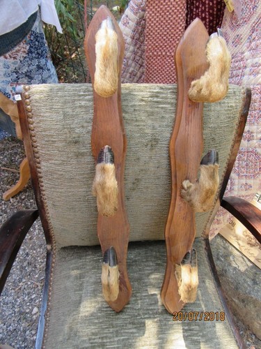 Trophée taxidermie porte - taxidermie,,