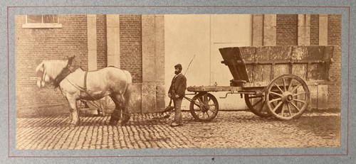 Attelage chevaux dans - chevaux, une