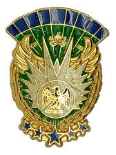 insigne PARACHUTISTES  - PARA