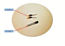 charbons pour train  ech o