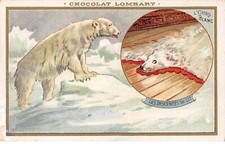 Chromos.AM14999.6x9 cm environ.Chocolat Lombart.Les descentes de lit.L'ours bl