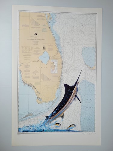 Steve whitlock cape canaveral - cape,