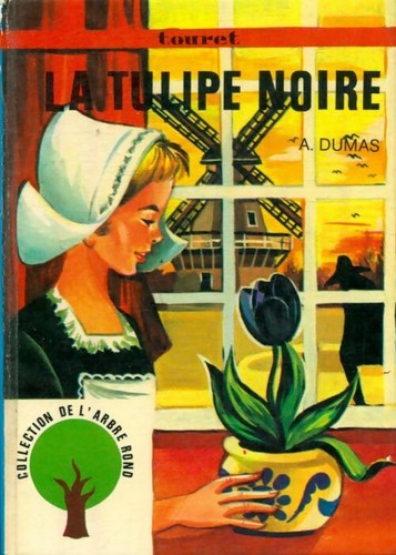 Tulipe noire alexandre - la,