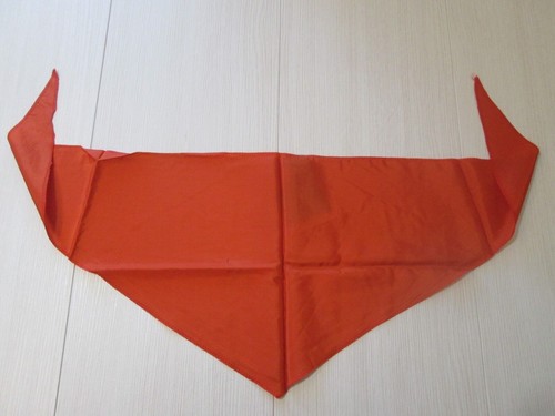 Foulard pionnier union - pionnier, l’union